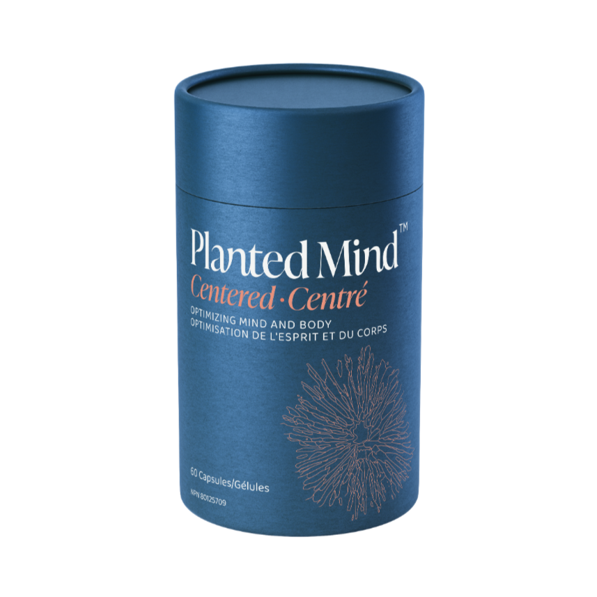 Blue cylindrical container labeled 'Planted Mind' on a white background